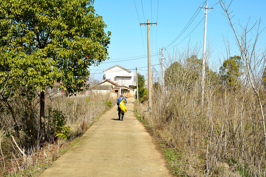 乡间水泥路