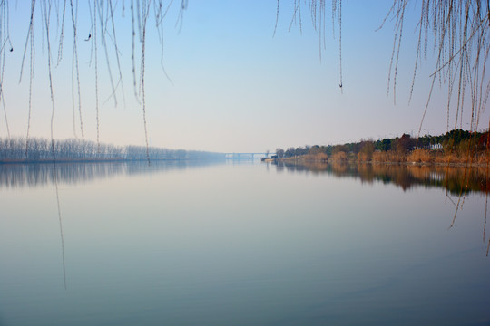 南京长江绿水湾湿地