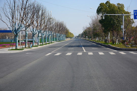 城市道路