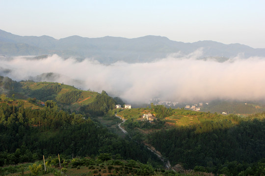 行云流水