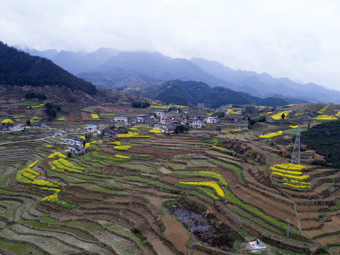 水坪航拍田地