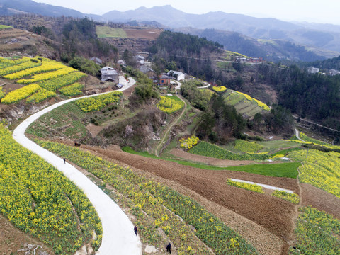 水坪航拍村路