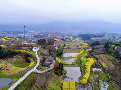 中峰旅游