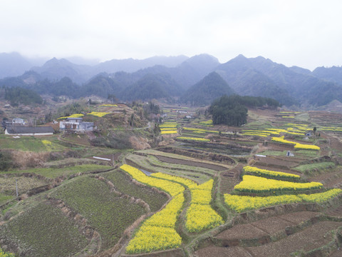 中峰航拍梯田