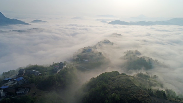 县河风光