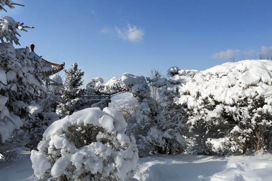 本溪平顶山雾淞