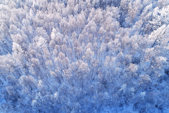 航拍林海雪原雾凇