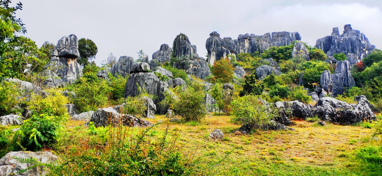 云南昆明石林广角全景