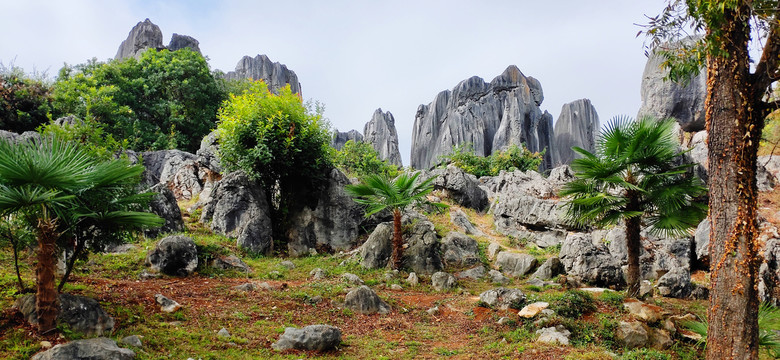 云南昆明石林广角全景