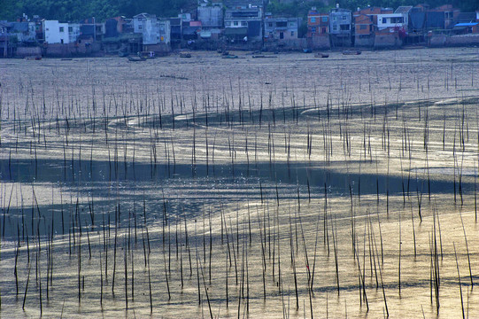 福建霞浦