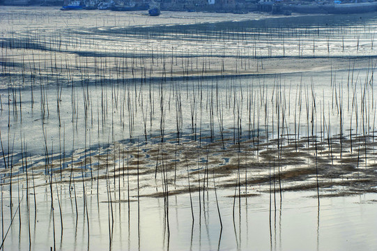 福建霞浦