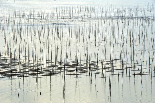 福建霞浦