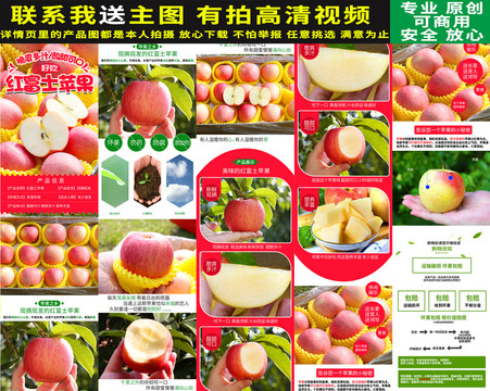 紅富士蘋果詳情