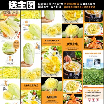 白菜