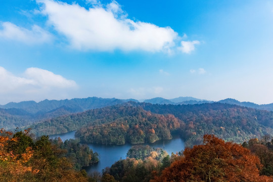 水富铜锣坝原始森林自然景观