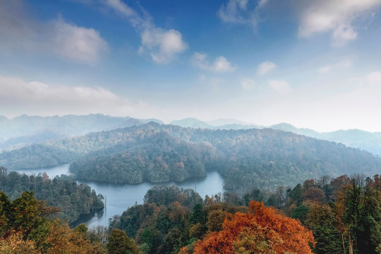 水富铜锣坝原始森林自然景观