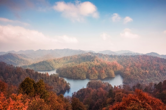 水富铜锣坝原始森林自然景观