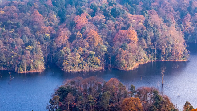 水富铜锣坝原始森林风光