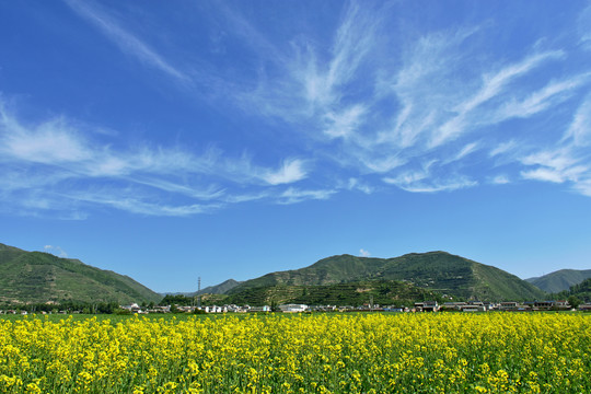 乡村田园风光