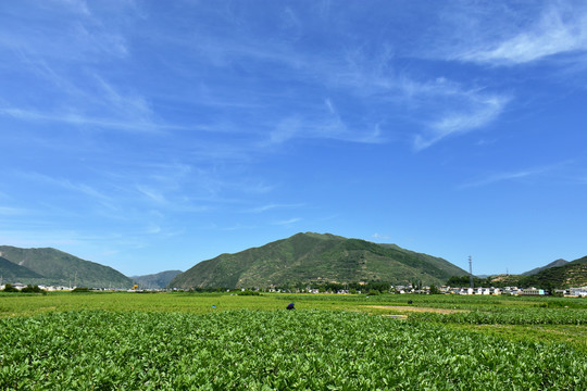 乡村田园风光