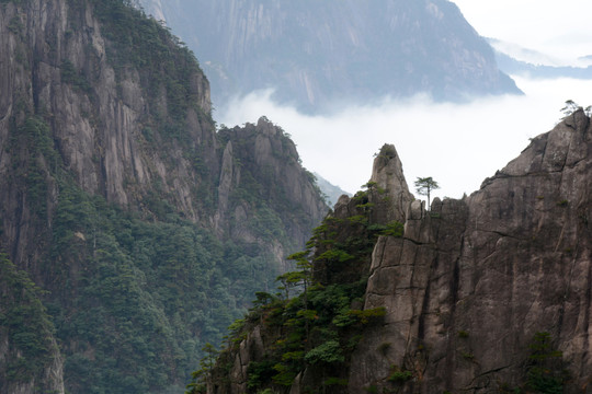 黄山