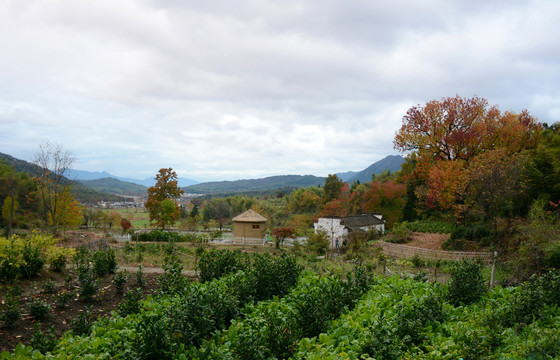 田园风光