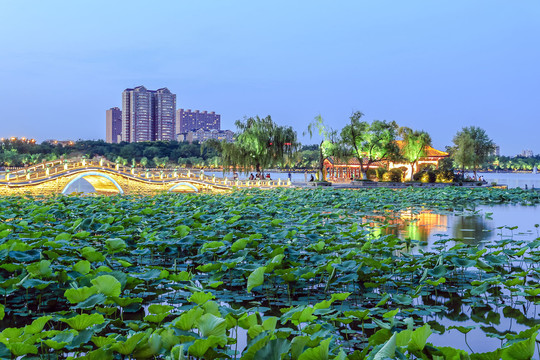 大明湖之夜