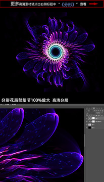 花紋圖案