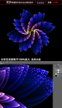 花紋圖案