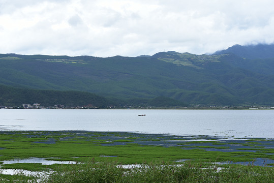 拉市海湿地公园