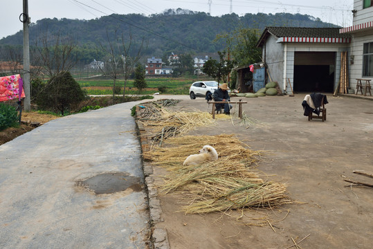 农村公路