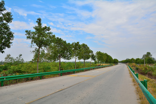 农村公路