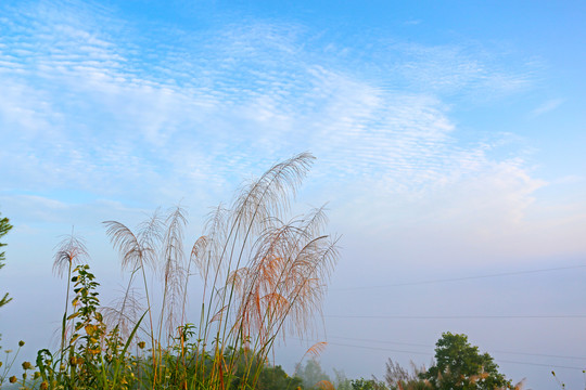 竹溪的天空