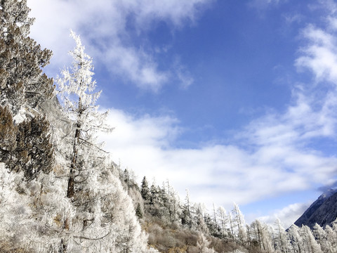 雪山山峰