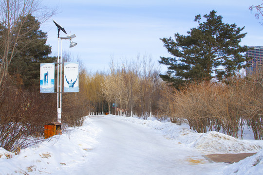 雪景