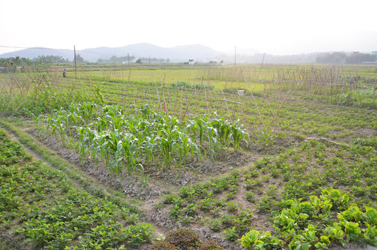 龙川佗城鳌湖