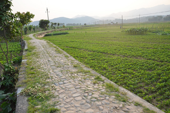 龙川苏堤