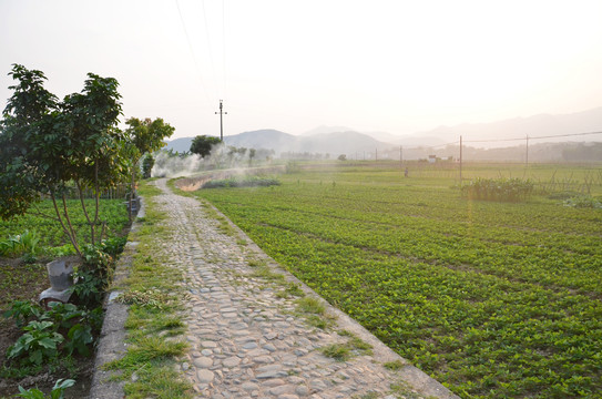 石子路