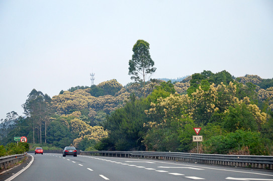 高速公路