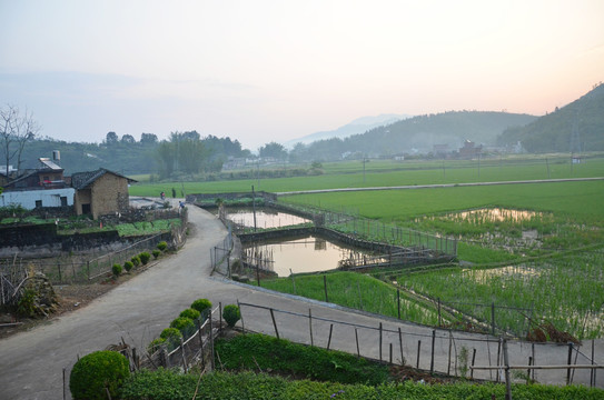 乡村道路