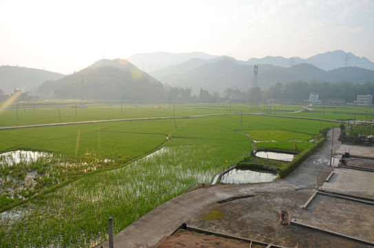 广东农村