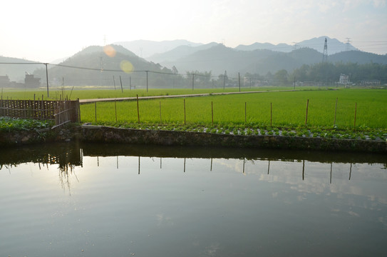 乡村早晨