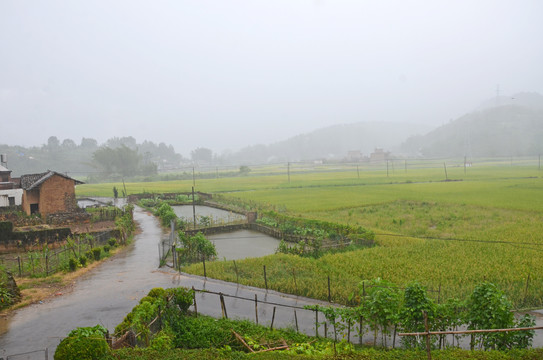 雨天乡村