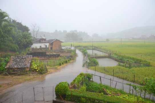 广东农村