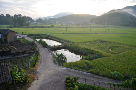 乡村道路