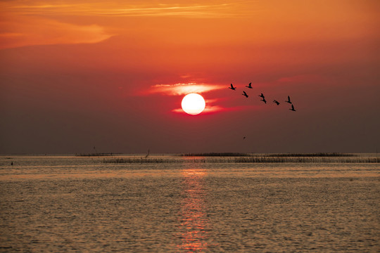 鄱湖夕阳