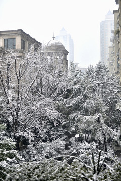 小区雪景