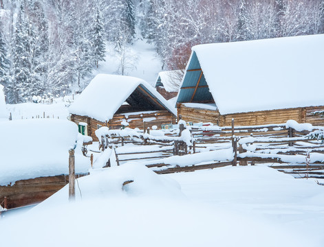 冬季喀纳斯雪景