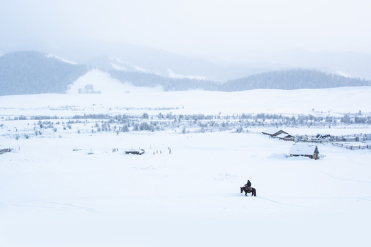 冬季喀纳斯雪景