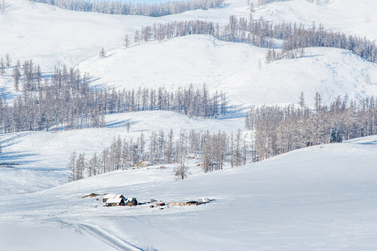 冬天喀纳斯雪景